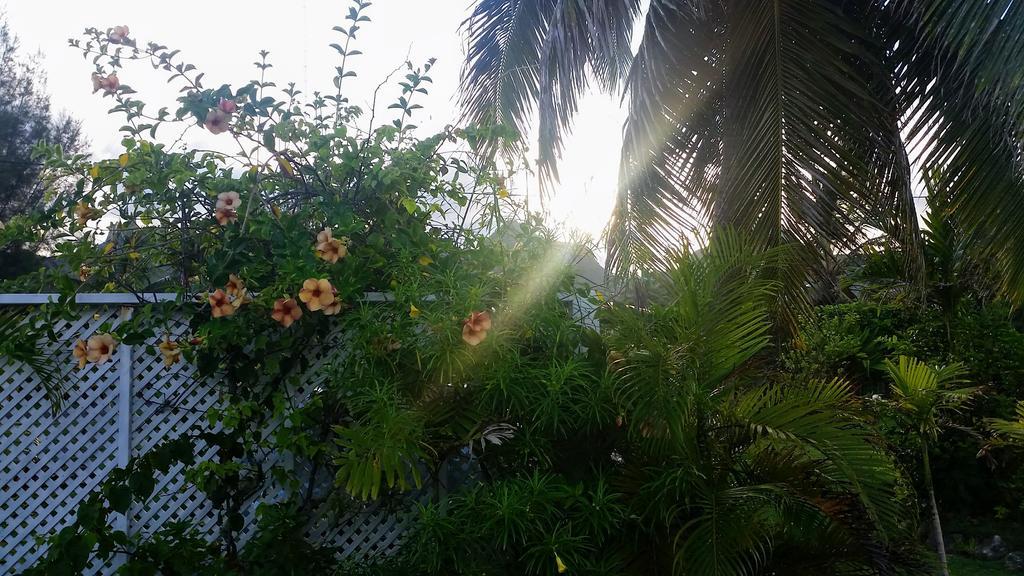 Herons Reef Holiday Apartments Đảo Đảo Rarotonga Ngoại thất bức ảnh