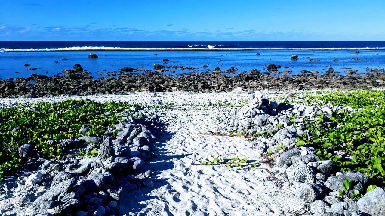 Herons Reef Holiday Apartments Đảo Đảo Rarotonga Ngoại thất bức ảnh
