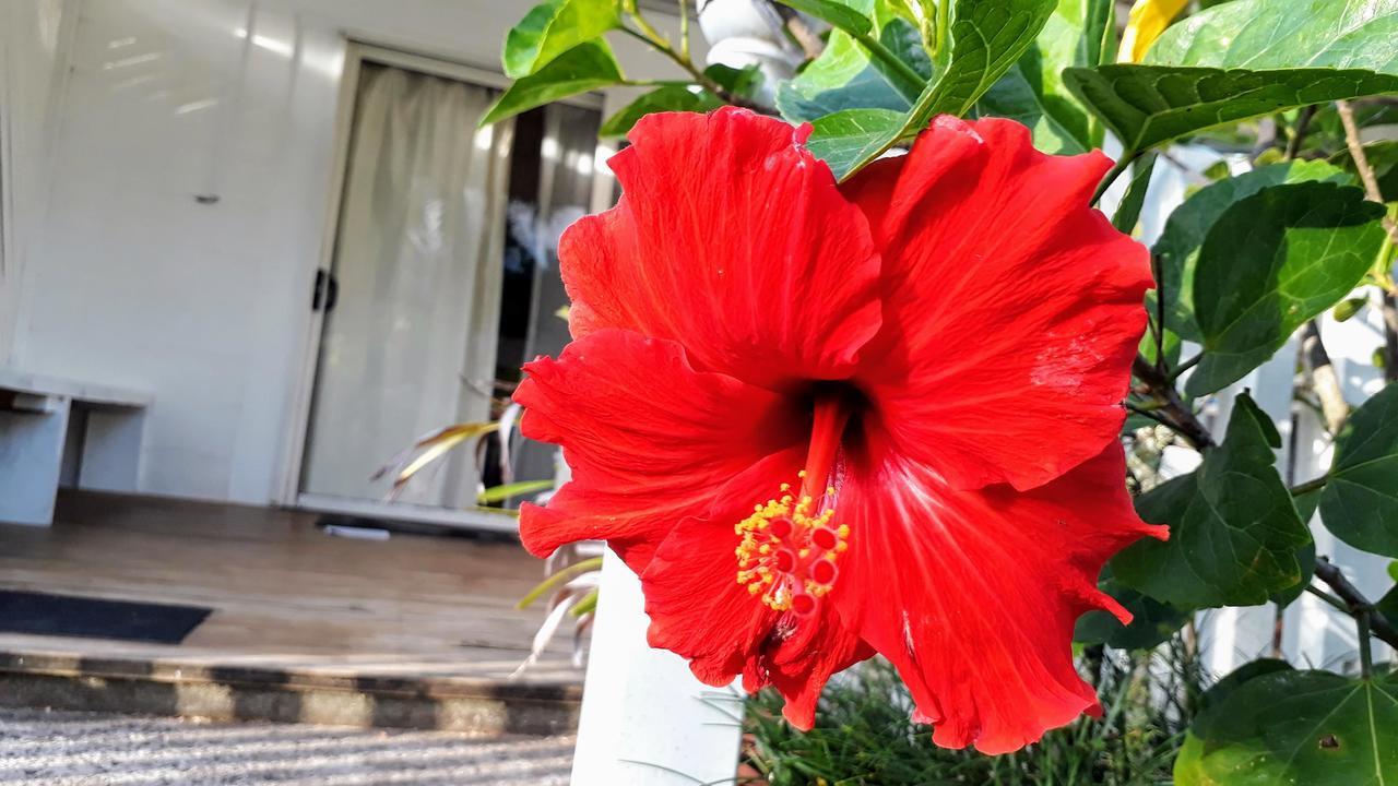 Herons Reef Holiday Apartments Đảo Đảo Rarotonga Ngoại thất bức ảnh